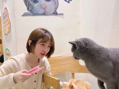 -藏猫猫咖啡主题馆(中央大道店)