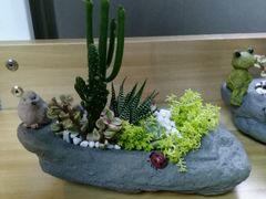艺术树脂花盆+多浆肉肉植物-A+匠心DIY手工坊·首饰·微景观