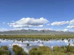 -花湖生态旅游区