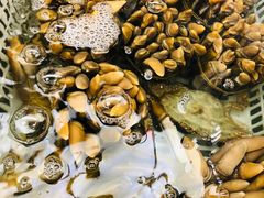 -盒马鲜生(大成店)