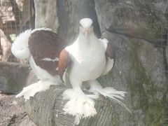 -青青世界