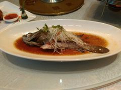 -骏莱海鲜鱼港(五角场店)