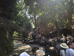 -西双版纳原始森林公园