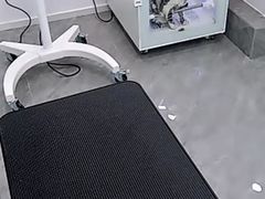 -爱洗澡的猫(望京店)