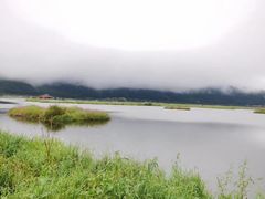 -腾冲北海湿地