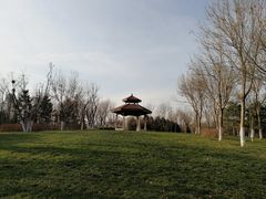 -五环公园