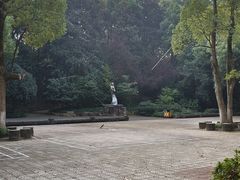 -赭山公园