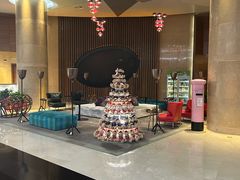 -南京禄口机场雅高铂尔曼大酒店