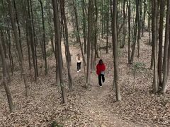 -南山植物园