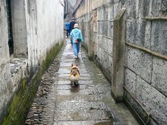 -状元楼(金溪路店)