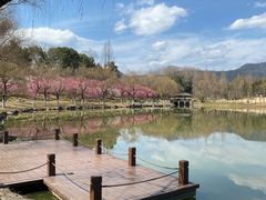 -浙江农林大学(东湖校区)
