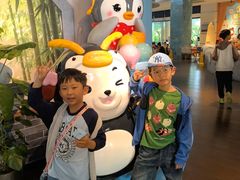 -帝企鹅自助餐厅•儿童岛•真企鹅(长隆企鹅酒店)