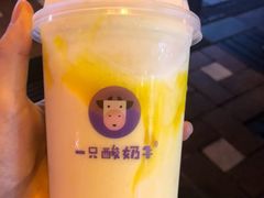 -一只酸奶牛(时代天街A馆店)