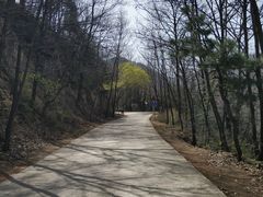 -终南山南五台景区