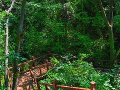 -大岭沟猕猴桃谷风景区