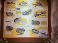 -宁波野生动物园
