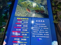 -合肥海洋世界