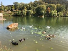 -南京银杏湖乐园