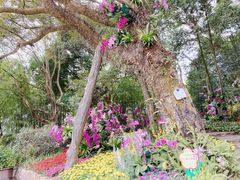 -广州市石门国家森林公园