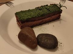 苔藓-知亘茶食