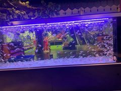 -木子塘汗蒸生活馆(财富港店)