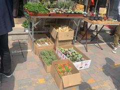 -中环花鸟鱼虫市场