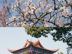 -开福禅寺