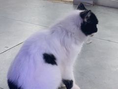 -极木²邸 人与宠物·互动社区