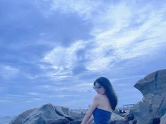 -广东惠东海龟国家级自然保护区