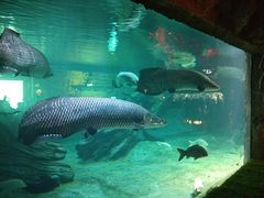 -华夏文旅海洋公园