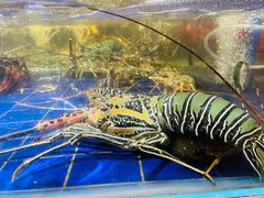 -79号渔船海鲜饭店(华强北店)