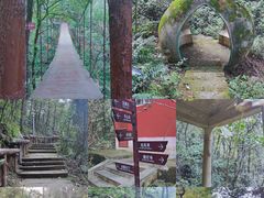-老界岭旅游度假区
