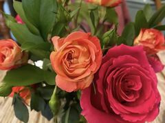 -SONGUOLIFE松果咖啡(七莘路店)