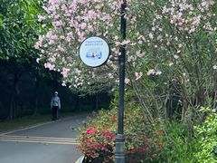 -小南山公园