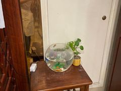 -裕和堂中医推拿艾灸(太古汇臻品店)