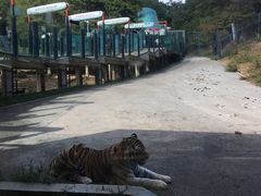 -大连森林动物园