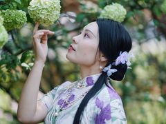 -铁山坪森林公园