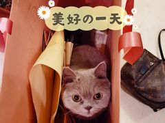 -Acne Studios(芮欧百货店)