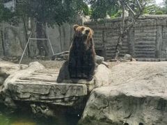 -灵玲国际马戏城
