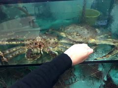 -翠恒酒家(宴会厅)