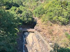 -广州白江湖森林公园