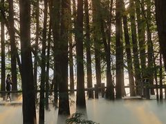 -东湖落雁景区