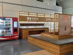 -重庆江北国际机场-T2航站楼