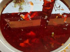 -蜀滋香鲜鱼美蛙火锅(339店)