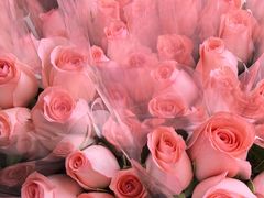 -循礼门鲜花花市(武汉循礼门店)