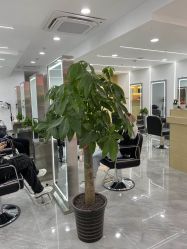 -Coo Hair salon