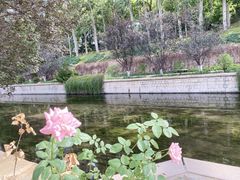 -元大都城垣遗址公园