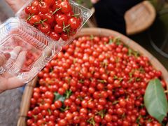 -樱桃山旅游景区