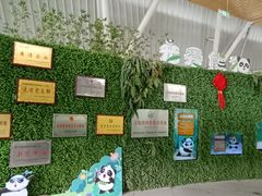 -青藏高原野生动物园