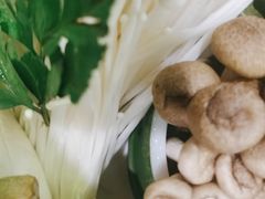 -洪氏嗨捞·猪肚鸡火锅(阳光天地店)